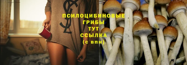 сатива Алексин