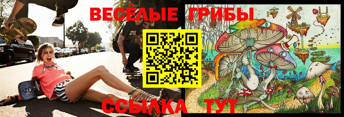 Псилоцибиновые грибы прущие грибы  Псилоцибиновые грибы Cubensis  Лобня  Вход с VPN 